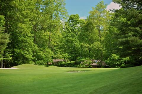 connestee2_green.jpg connestee2_green.jpg