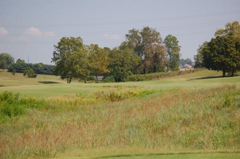 ridges8teeagain.jpg ridges8teeagain.jpg