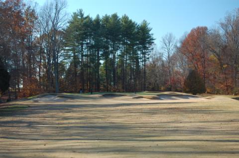 tanglewood5approachtogreen.jpg tanglewood5approachtogreen.jpg