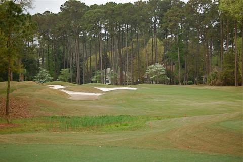 callawassiemagnolia3fromtee.jpg callawassiemagnolia3fromtee.jpg