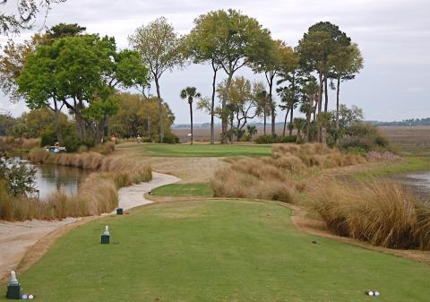 oldtabby17fromtee.jpg oldtabby17fromtee.jpg