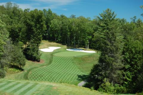 trillium5fromtee.jpg trillium5fromtee.jpg