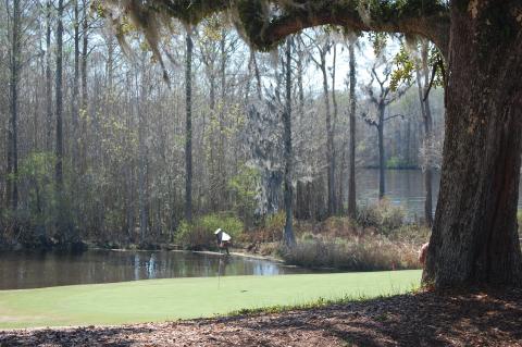 wachesaw18greenfromside.jpg wachesaw18greenfromside.jpg