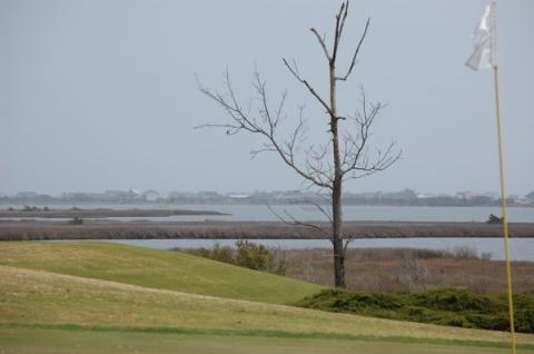 northshore11thgreentowardisland.jpg northshore11thgreentowardisland.jpg